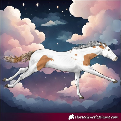Horse Color:Chestnut Splash Tobiano