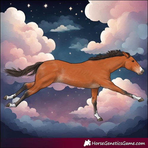 Horse Color:Bay Rabicano 