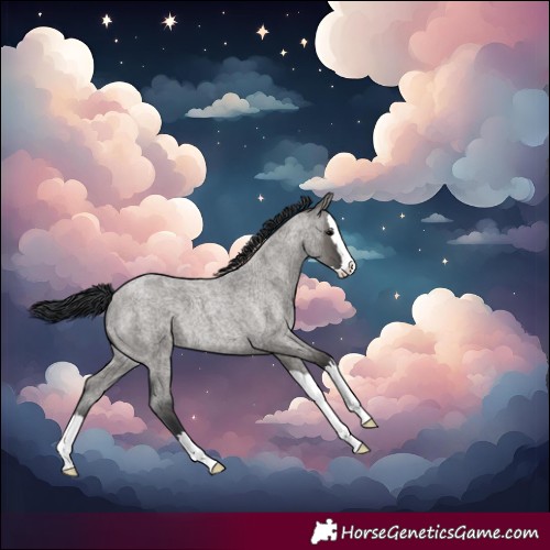 Horse Color:Grullo Roan Splash 