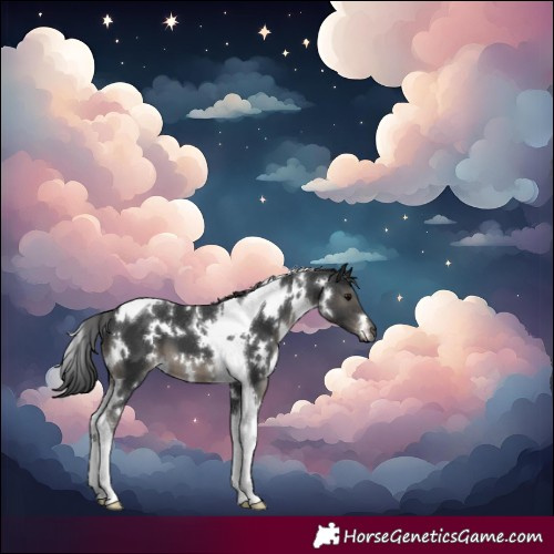 Horse Color:White Spotted Black Tobiano 