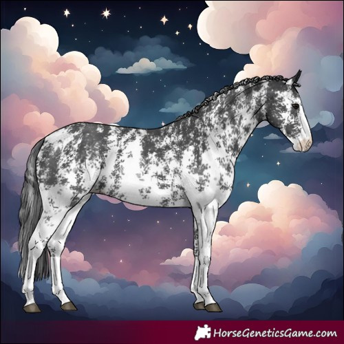 Horse Color:Black Sabino 
