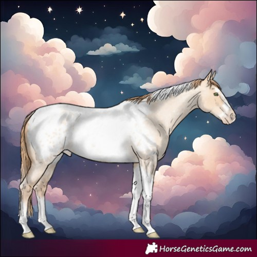 Horse Color:Gold Champagne Roan Dun Splash Tobiano Frame Blanket Rabicano 