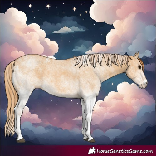 Horse Color:White Spotted Red Dun