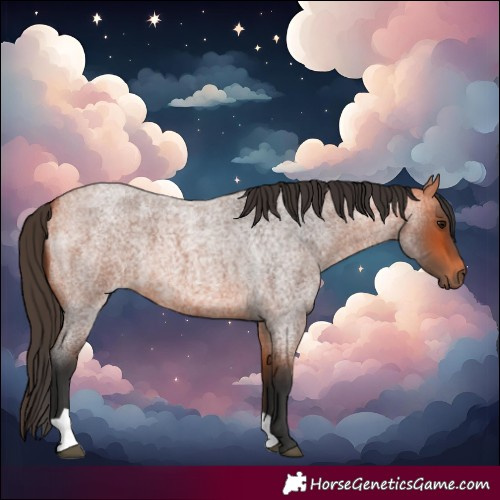 Horse Color:Bay Roan