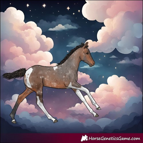 Horse Color:Bay Tobiano 