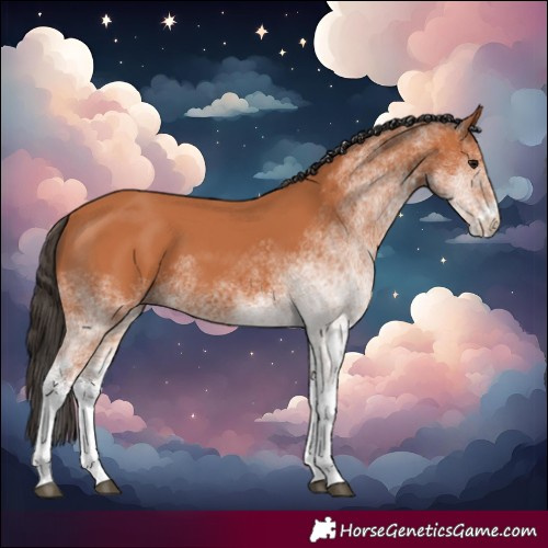 Horse Color:White Spotted Bay 