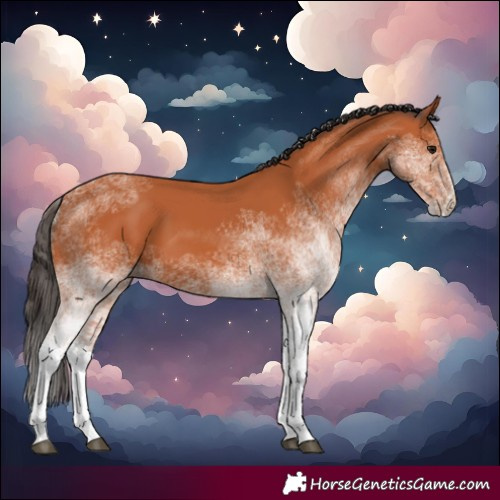 Horse Color:White Spotted Bay 