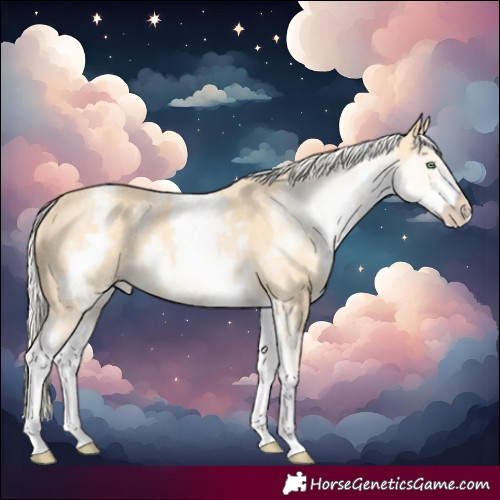 Horse Color:White Spotted Gold Cream Champagne Rabicano 