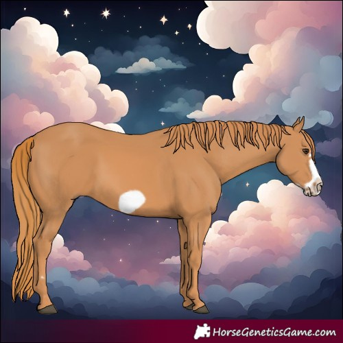 Horse Color:Chestnut Frame