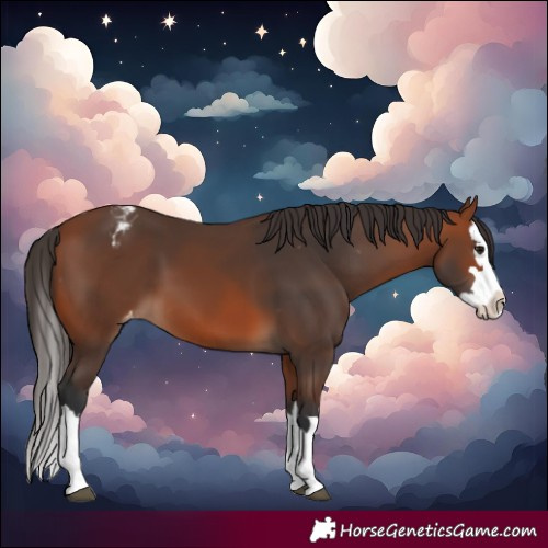 Horse Color:Bay Splash Varnish