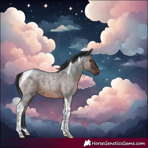 Horse Color:Brown Roan Tobiano 