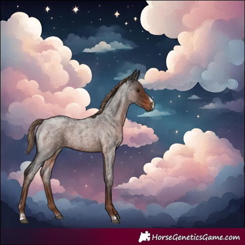 Horse Color:Liver Red Roan