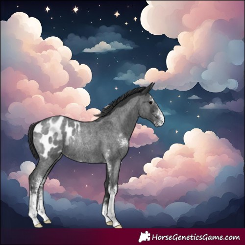 Horse Color:Blue Roan Sabino Blanket Rabicano 