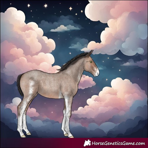 Horse Color:Sable Champagne Roan Sabino 