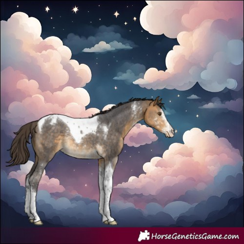 Horse Color:Buckskin Sabino Tobiano Blanket Rabicano