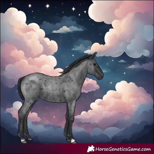Horse Color:Blue Roan Varnish
