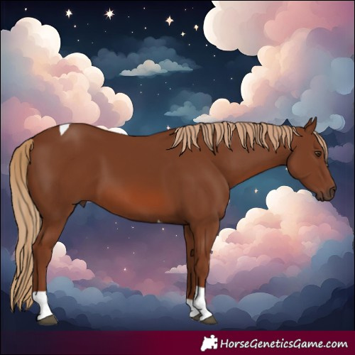 Horse Color:Chestnut Tobiano