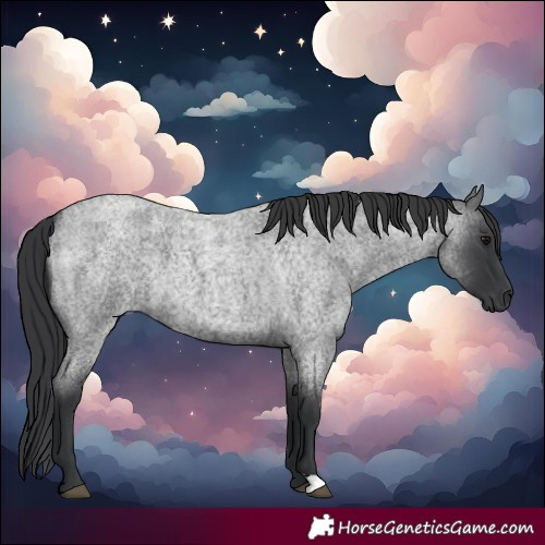 Horse Color:Blue Roan 