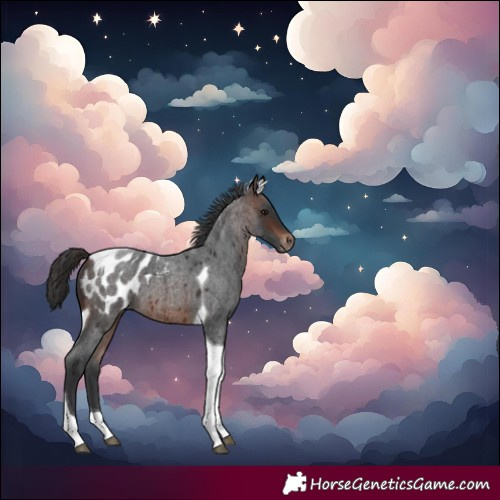 Horse Color:Brown Roan Tobiano Blanket