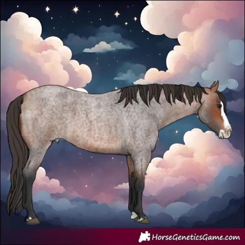 Horse Color:Bay Roan Splash