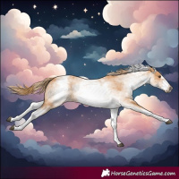 Horse Color:White Spotted Chestnut Frame 