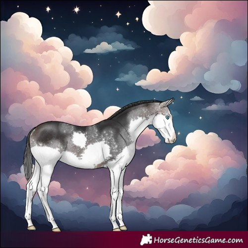 Horse Color:Brown Splash Rabicano 