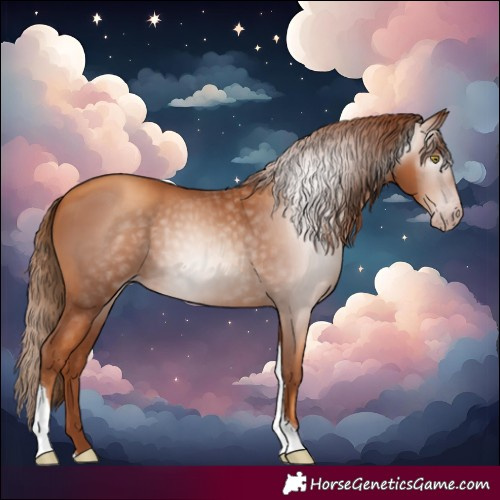 Horse Color:Gray Gold Champagne Tobiano 