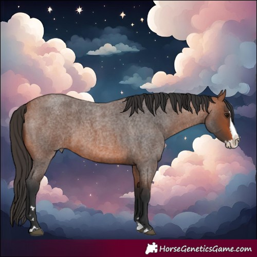 Horse Color:Bay Roan Splash