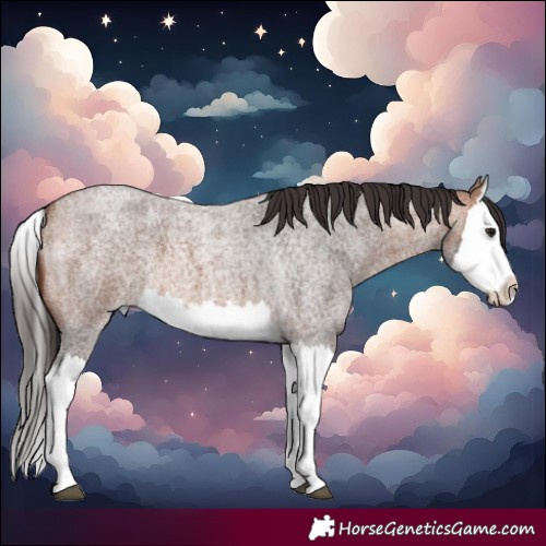 Horse Color:Bay Roan Splash 