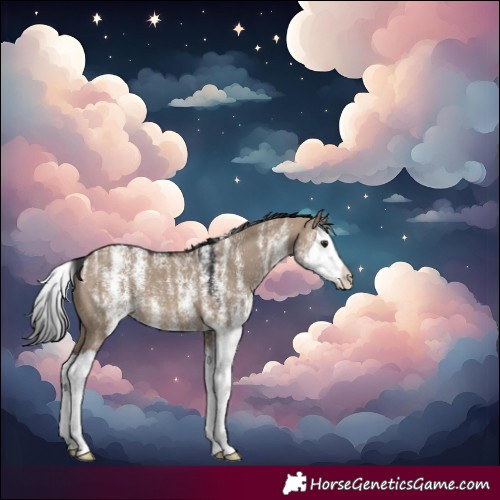 Horse Color:Powder White White Spotted Brown Dun Splash 