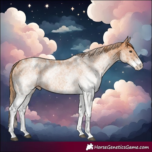 Horse Color:White Spotted Chestnut