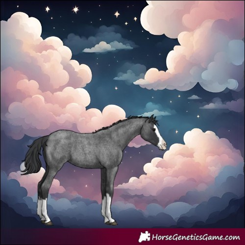 Horse Color:Blue Roan Splash 