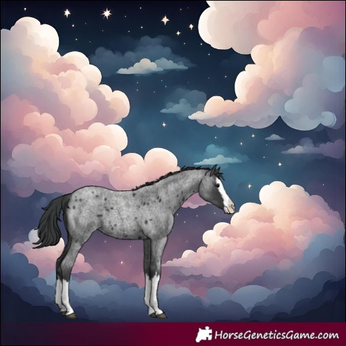 Horse Color:Blue Roan Splash 