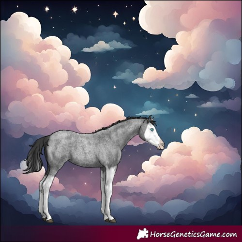 Horse Color:Blue Roan Splash