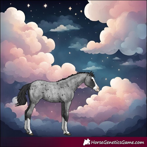Horse Color:Blue Roan Splash 