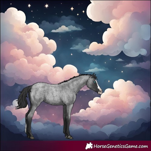 Horse Color:Blue Roan Splash