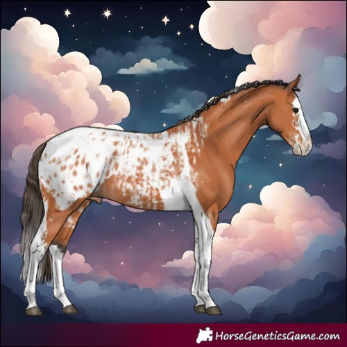 Horse Color:Bay Splash Tobiano Blanket and Bay Splash Tobiano Blanket