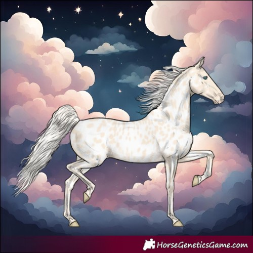 Horse Color:Cremello Near Leopard 