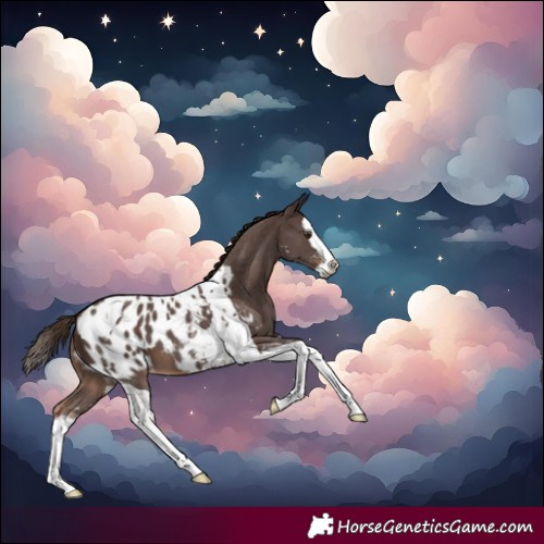 Horse Color:Liver Chestnut Sabino Splash Tobiano Blanket 