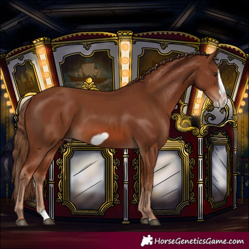 Horse Color:Chestnut Frame and Chestnut Splash Frame