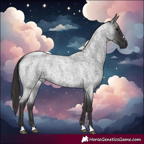 Horse Color:Smoky Blue Roan 