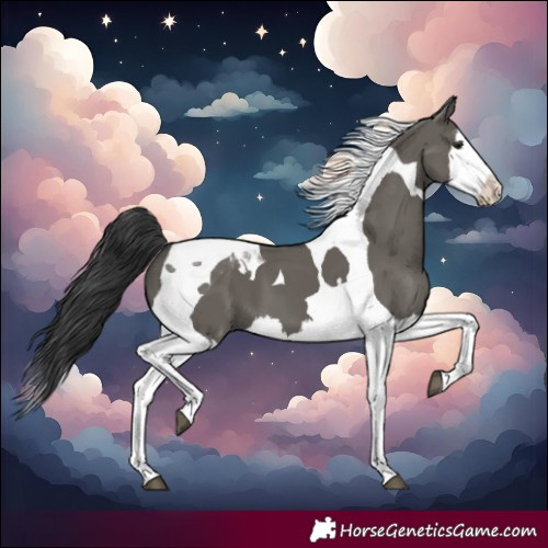 Horse Color:Grullo Splash Tobiano 