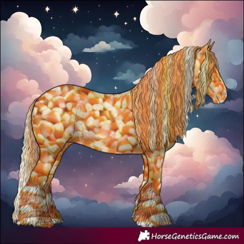 Horse Color:Silver Buckskin Roan Splash 