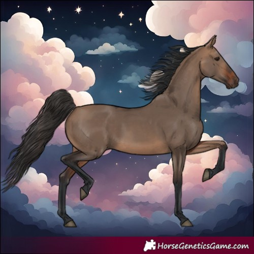 Horse Color:Bay Dun 