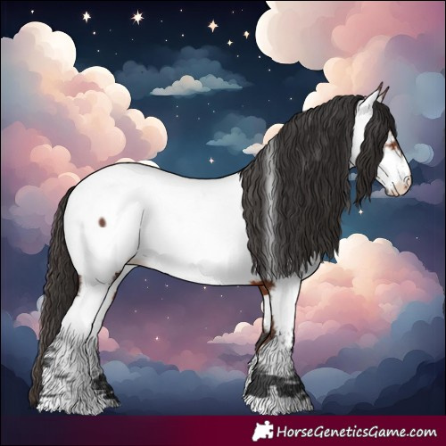 Horse Color:Bay Fewspot 