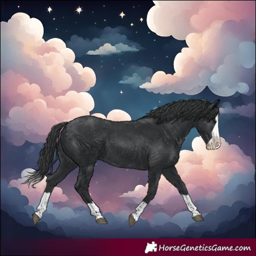 Horse Color:Black Splash 