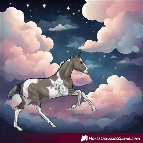 Horse Color:Grullo Splash Tobiano