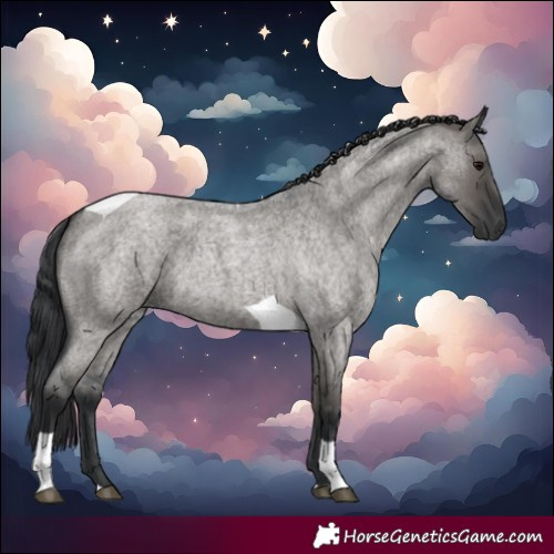 Horse Color:Grullo Roan Tobiano
