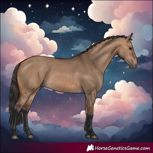 Horse Color:Bay Dun 