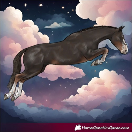 Horse Color:Liver Chestnut  and Liver Chestnut Splash 